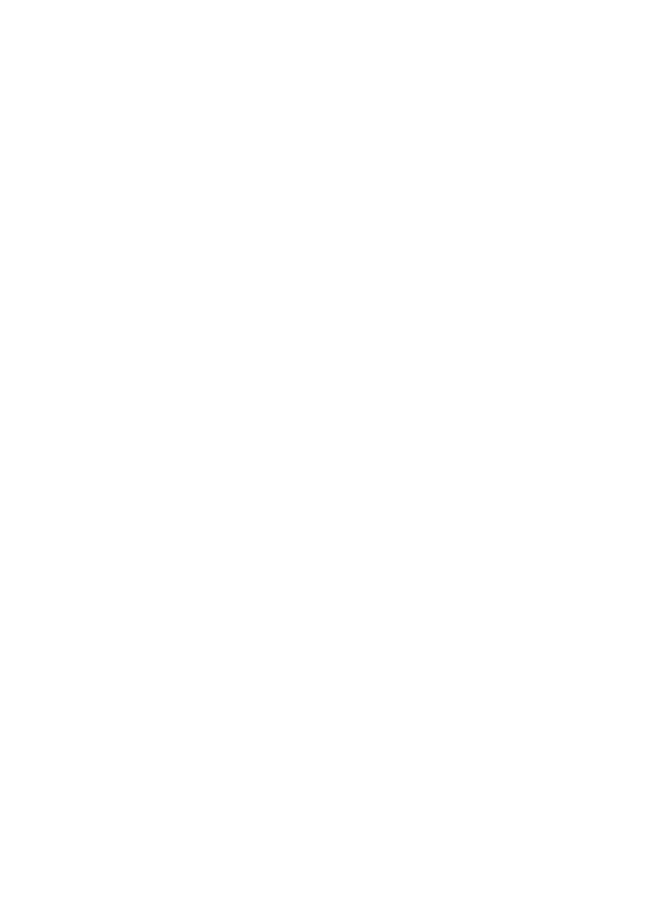 Visceral Athletics